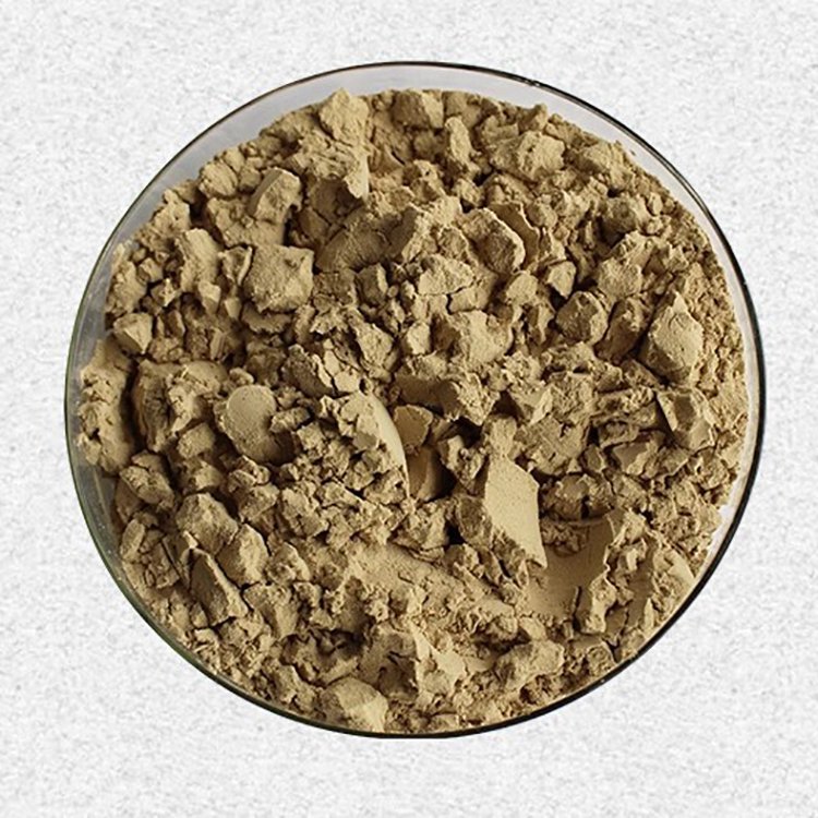 Purslane Extract – Plant-Based EPA/DHA Omega-3 Source for Vegan Supplements & Meat Alternatives | cGMP Certified Bulk Supply