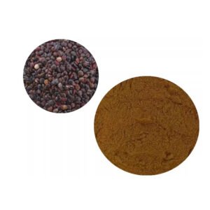 Raisin Tree Seed Extract – cGMP Certified Natural Antioxidant and Detox Ingredient for Nutritional Supplements Wholesale