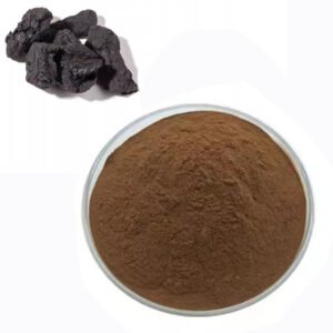 Rehmannia Extract – Yin Tonic & Kidney Support for Menopausal Formulas & Anti-Aging Creams | Certified Bulk Herbal Ingredient
