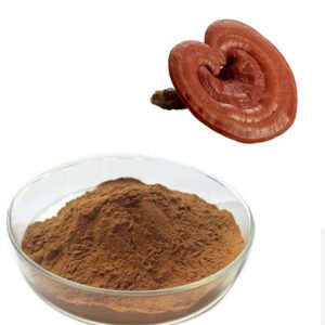 Reishi Mushroom Extract Premium Triterpene Complex Dual-Extract Oncology Support Pharmaceutical Grade cGMP Certified