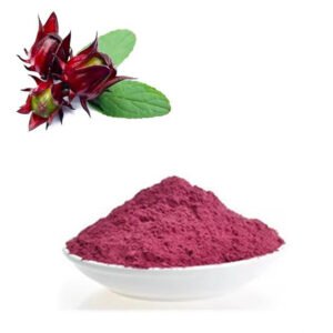 Roselle Extract Powder – Natural Red Colorant & Antioxidant for Detox Teas, Skin Care & Functional Beverages | Food-Grade Bulk Supply