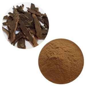 Bulk Scrophularia Extract – Heat-Clearing & Anti-Inflammatory TCM Ingredient for Lozenges & Topical Formulas