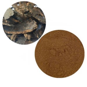 Scrophularia Extract Powder – Anti-Inflammatory & Heat-Clearing Herb for Throat Lozenges and Skin Ointments | cGMP Bulk Supply