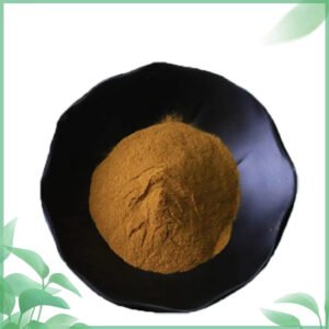 Pharma-Grade Semen Pruni Extract Powder – Certified Herbal Laxative & Digestive Aid for B2B Bulk Supply