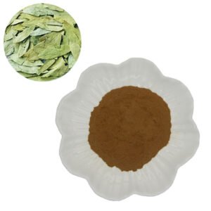 Senna Leaf Extract – Natural Laxative & Detox Ingredient for Weight Loss Teas | GRAS & Halal Bulk Certified Supply