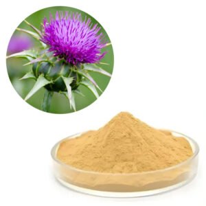 Silymarin 80% Milk Thistle Extract – Liver Detox & Antioxidant Ingredient for Supplements