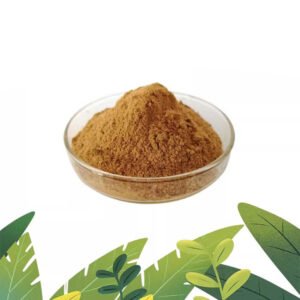 Pharma-grade Sophora Seed Extract capsules and tablets rich in Rutin for antioxidant and vascular health support