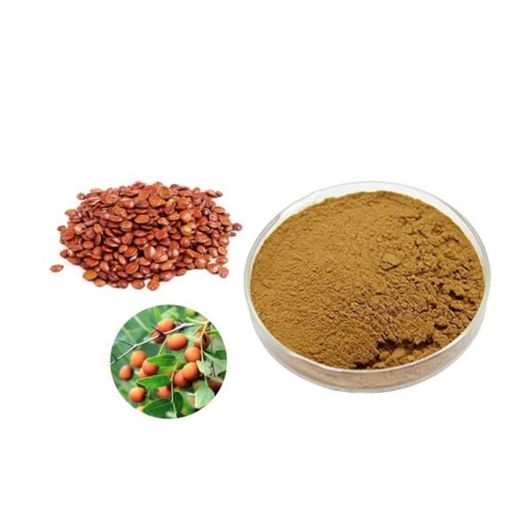 Sour Jujube Seed Extract – Natural Sleep Aid & Anxiety Relief – USP Standard Spinosin – Organic, Halal, Kosher Certified Bulk Supplier