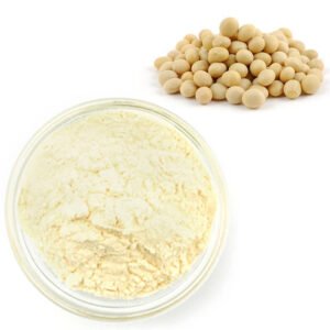 Bulk Soy Protein Isolate – Plant-Based Protein for Meat Alternatives, Sports Shakes & Nutritional Products