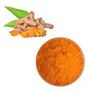 Turmeric Extract – 95% Curcuminoid Anti-Inflammatory Ingredient – Organic, Halal, Kosher Certified Bulk for Golden Milk & Capsule Formulations
