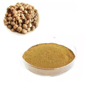White Cardamom Extract – Halal Digestive Aid for Functional Chai, Oral Care & Bulk Herbal Formulations