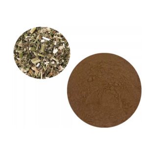 Leonurus Cardiaca Extract (Yimucao) – Women’s Health Botanical Ingredient for Menstrual Support & Herbal Tea Formulas