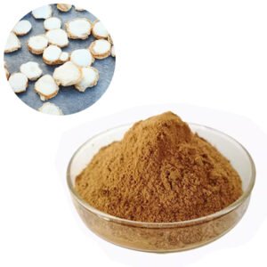 Zingiber Extract – Aromatic Digestive Aid Bioactive Compound – Halal Certified Bulk Ingredient for Curry Premixes & Functional Soups