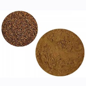 Flatstem Milkvetch Seed Extract – Natural Adaptogen & Immune Booster | cGMP Certified Herbal Bulk Ingredient