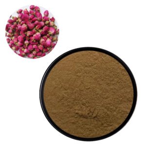 Thorn Rose Extract Powder – Natural Antioxidant & Hydrating Ingredient for Skin Care and Wellness Formulations | Food-Grade Bulk Supply