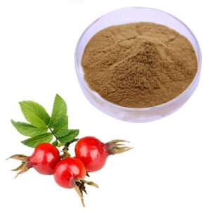 Rosehip Seed Extract – Premium Herbal Skincare Ingredient for Cosmetics and Nutraceutical Formulations