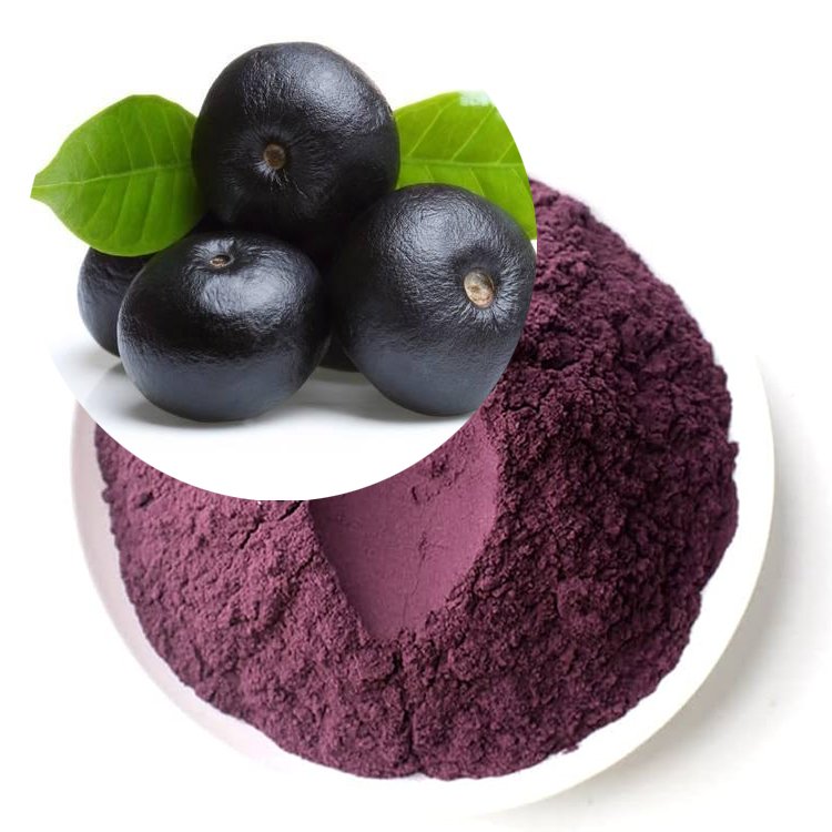 USDA Organic Acai Berry Powder – Kosher-Certified Superfood Ingredient for Smoothie Boosters, Nutritional Blends & Health Foods in Bulk Supply