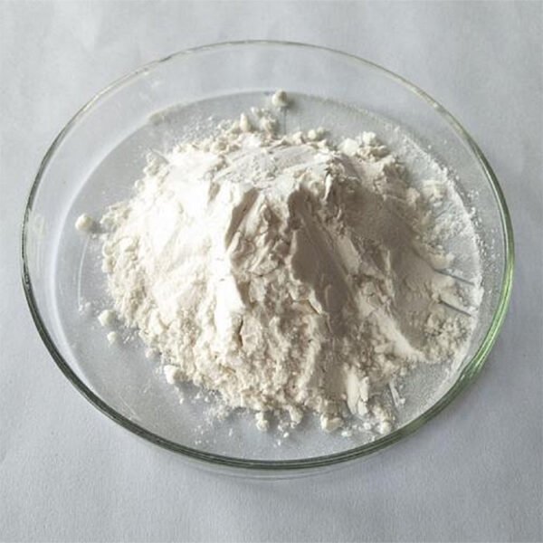 Andrographolide 10% Standardized Extract – ISO 22000, Halal, Kosher Certified | cGMP Bulk Supply for TCM Modernization & Immune Health Formulations**