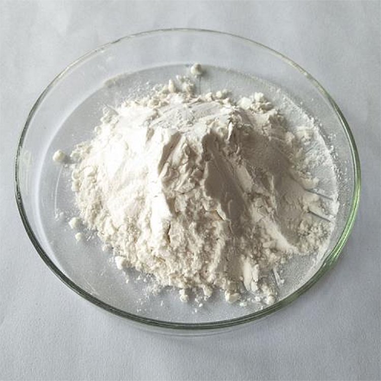 Andrographolide 10% Standardized Extract – ISO 22000, Halal, Kosher Certified | cGMP Bulk Supply for TCM Modernization & Immune Health Formulations**