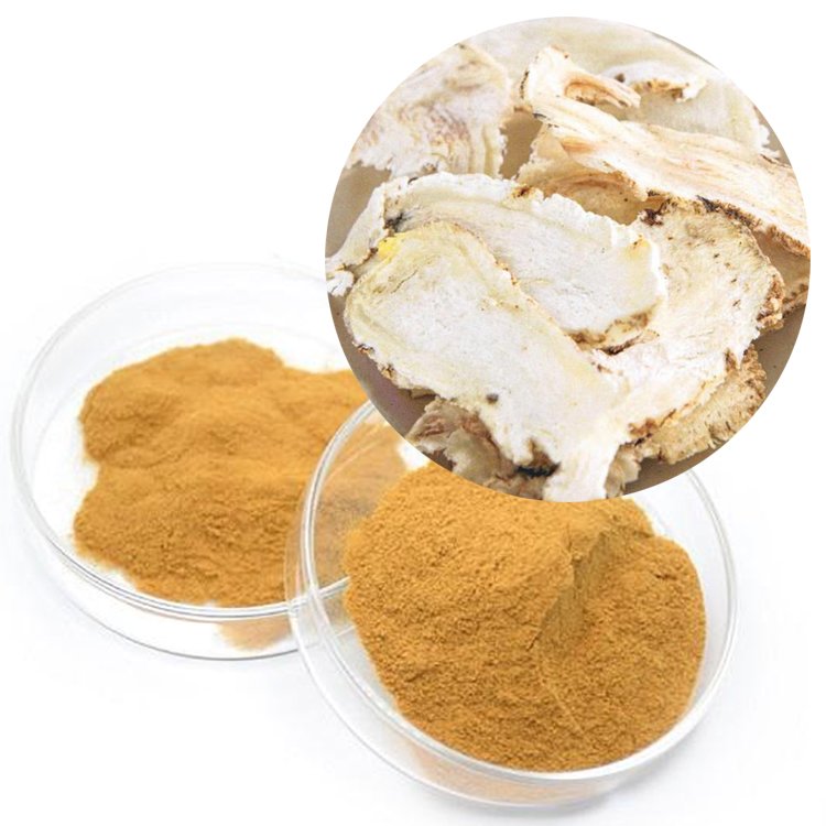 Angelica Sinensis Extract | Women’s Health Tonic | USP Grade | Fermented Formulas for Menopause & Hematinic Support | Bulk Pharma Supply