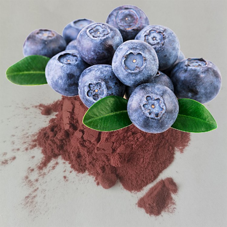 Blueberry Anthocyanins – JECFA-Certified Extract for Vision Support, Eye Health & Functional Smoothies in Bulk Supply