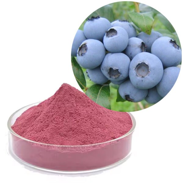 Organic Blueberry Anthocyanin Extract – GRAS Eye Health & Antioxidant Ingredient for Vision Capsules & Functional Foods
