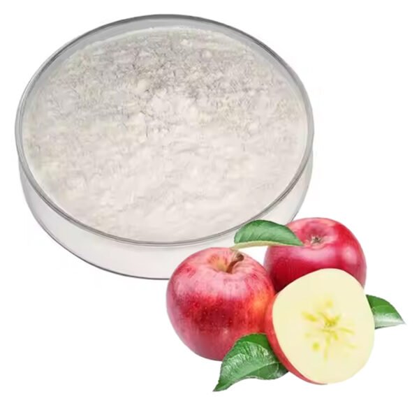 USDA Organic Apple Cider Vinegar Powder – Clean-Label Functional Ingredient for Beverages, Supplements, and Foods