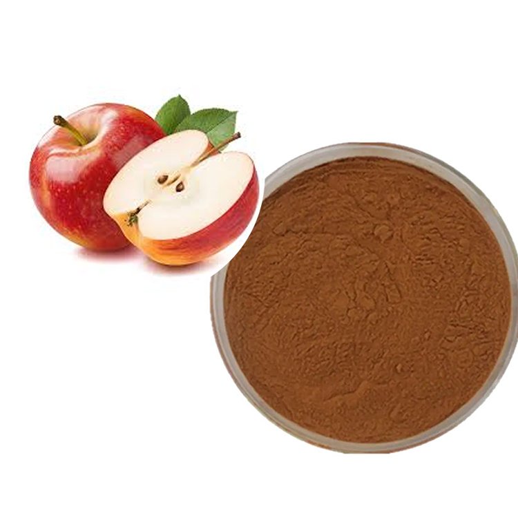 Apple Polyphenols 70% – Natural Antioxidant Complex for Clear Beverages, Skincare & Functional Foods | Bulk Ingredient Supply | Clean-Label OEM/ODM Solutions**