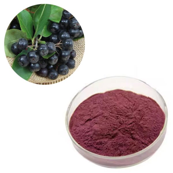 Aronia Berry Powder - Antioxidant-Rich, Ellagic Acid 15% for Skincare, Serums & Functional Snacks, Bulk Supply