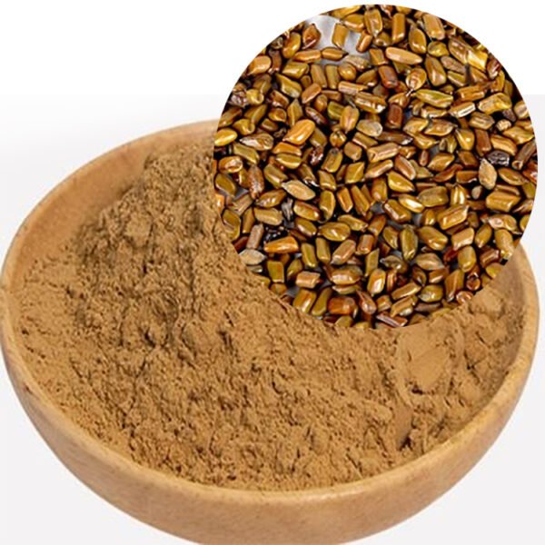 High-Purity Natural Cassia Seed Extract – Rich in Aurantio-Obtusin for Liver & Eye Health