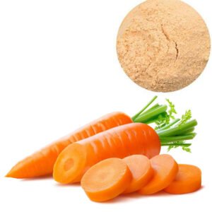 Carrot Powder Natural Colorant Rich in Carotene for Baby Food and Soup Bases, USDA Organic Certified, Bulk OEM/ODM Solutions