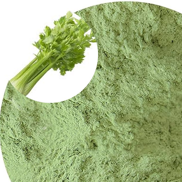 Celery Powder – GRAS-Recognized Nitrate Complex for Blood Pressure & Heart Health | Bulk OEM/ODM Supply
