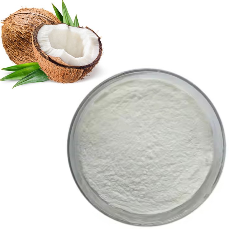 Coconut Water Powder – Electrolyte-Rich Natural Hydration Ingredient for Sports Drinks, Vegan Dairy & Nutraceuticals | Organic, Halal, Kosher Certified | Bulk OEM Supply