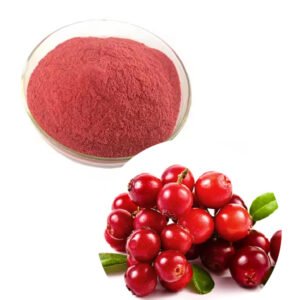 Pharma-Grade Cranberry Powder Capsules with 90% Proanthocyanidins for Urinary Tract Health, Halal and cGMP Certified