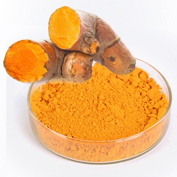 High-purity Curcumin extract ISO certified turmeric ingredient for nutraceuticals cosmetics animal feed