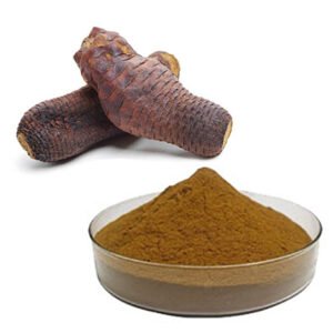 USDA Organic Echinacea Purpurea Extract – 5–30% Echinacoside, Immune Support Ingredient for Herbal Formulations, OEM/ODM Bulk Supply**