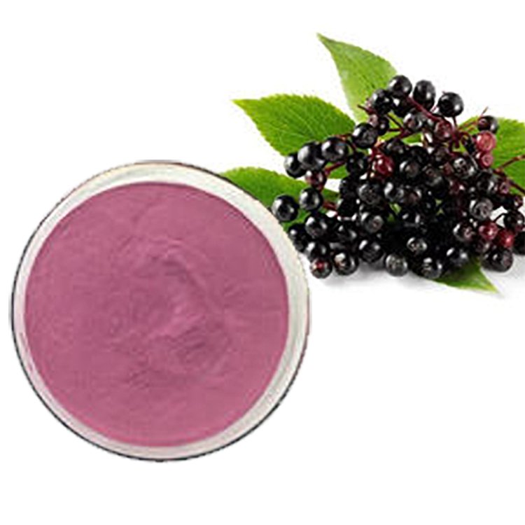 USP-Standard Elderberry Powder with 25% Anthocyanins – Immune Defense Ingredient for Syrups, Pediatric Lozenges & Functional Formulas in cGMP Bulk Export
