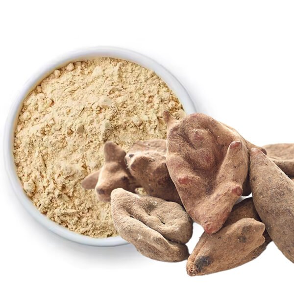 Tannin-Rich Gallnut Extract for Cosmetics, Natural Dye, and Vegan Leather Tanning