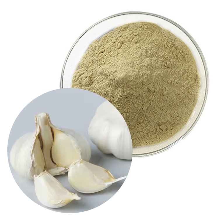 Garlic extract feed additive FAMI-QS Halal certified natural antibiotic and growth promoter for broiler feed efficiency bulk supply
