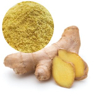 Pharma-Grade Ginger Powder with 6-Shogaol, GRAS & Kosher Certified for Anti-Nausea Formulas