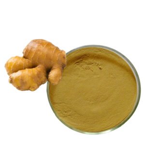 GMP-Grade Ginger Root Extract – 1–20% Gingerols, Certified Clean-Label Anti-Nausea & Anti-Inflammatory Ingredient for Supplement & Pharma Use**