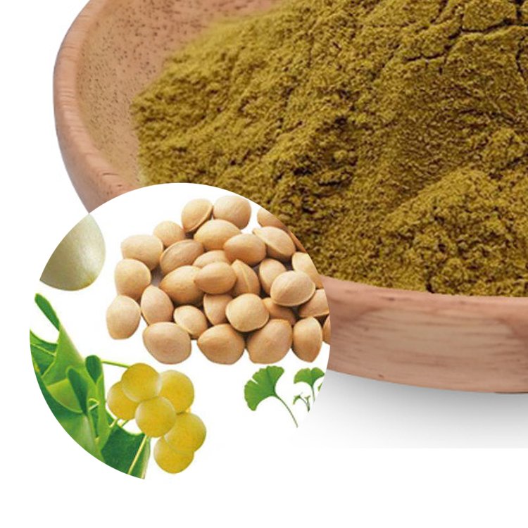 Ginkgo biloba extract feed additive FAMI-QS certified with 24% flavonoids for cognitive and circulatory support bulk supply