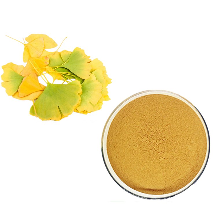 Ginkgo Biloba Extract Powder 24% Flavonoids USP Standard – Bulk Herbal Ingredient for Brain Health & Skincare