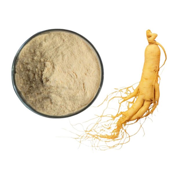 Ginseng Bioactive Peptide Powder | USDA Adaptogen | Anti-Fatigue & Immune Support | cGMP & Kosher Bulk Supply
