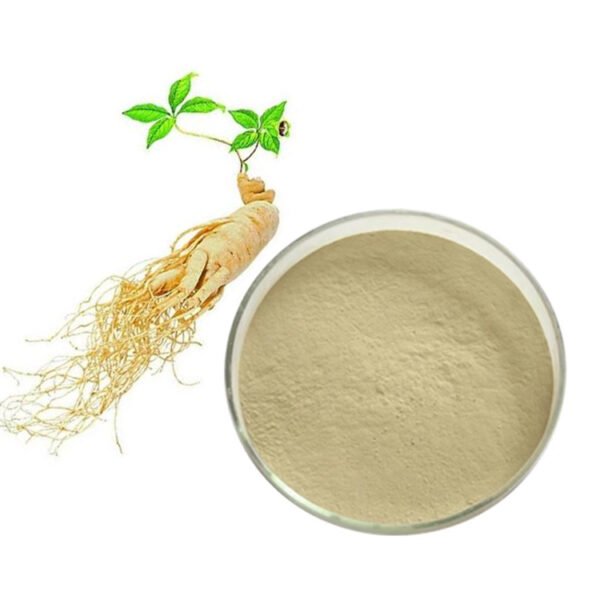 Bulk Ginsenosides Extract – cGMP Certified Natural Energy Booster for Sports Nutrition, Supplements & Anti-Fatigue Formulas