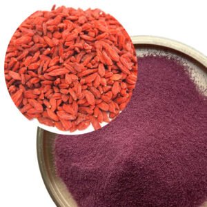 Goji Berry Juice Powder – Zeaxanthin-Rich for Eye Health & Vision Support | Kosher & TCM-GMP Certified | Bulk OEM/ODM Supply