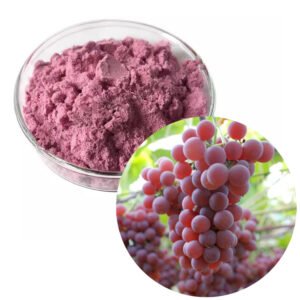 Grape Powder with USP 98% Resveratrol – Longevity & Skin Health Ingredient | USDA Organic, Kosher, cGMP | Bulk OEM/ODM Supply