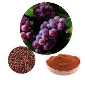 Grape Seed Extract 95% Proanthocyanidins – Organic Antioxidant Ingredient | ORAC Certified | Anti-Aging Skincare & Supplements | Bulk Clean-Label Supply**