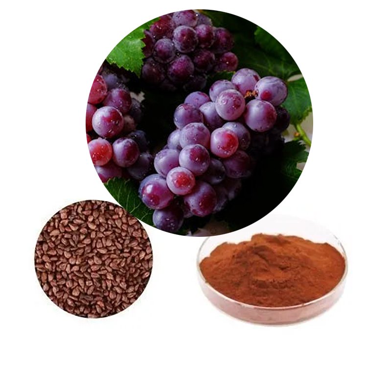 Grape Seed Extract 95% Proanthocyanidins – Organic Antioxidant Ingredient | ORAC Certified | Anti-Aging Skincare & Supplements | Bulk Clean-Label Supply**