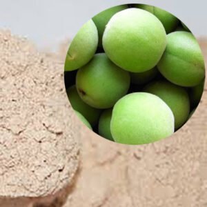 GMP Certified Green Plum Powder for Detox & Alkaline Liver Cleansing – Bulk Export for Digestive Herbal Teas